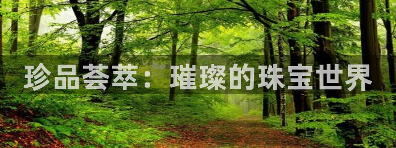 天宏娱乐直播间怎么进入：珍品荟萃：璀璨的珠宝世界