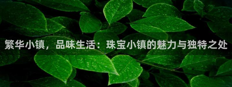 天宏娱乐河源店在哪