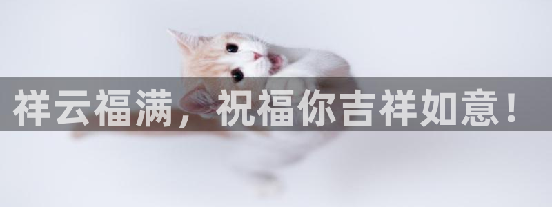 天宏娱乐是什么公司