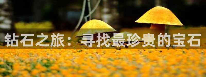 天宏2娱乐