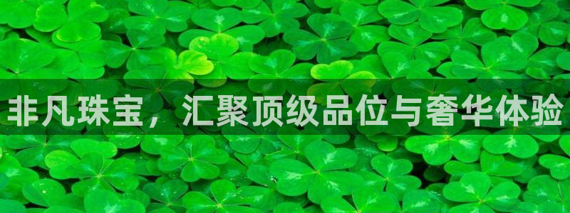 天宏娱乐天跃娱乐