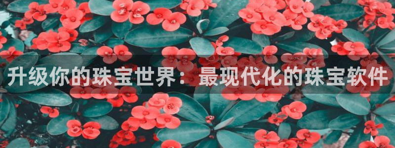 天宏娱乐团购活动时间