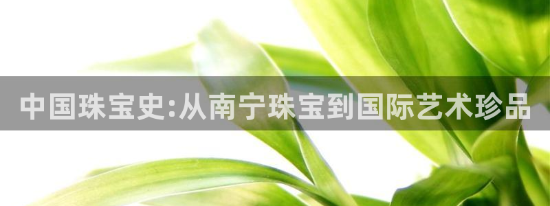 天宏娱乐q34189：中国珠宝史:从南宁珠宝到国际艺术珍品