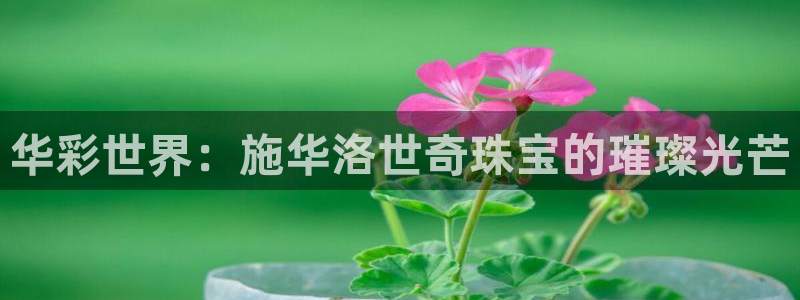 天宏娱乐登录网址：华彩世界：施华洛世奇珠宝的璀璨光芒