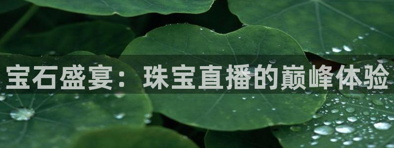 宏天广场娱乐：宝石盛宴：珠宝直播的巅峰体验