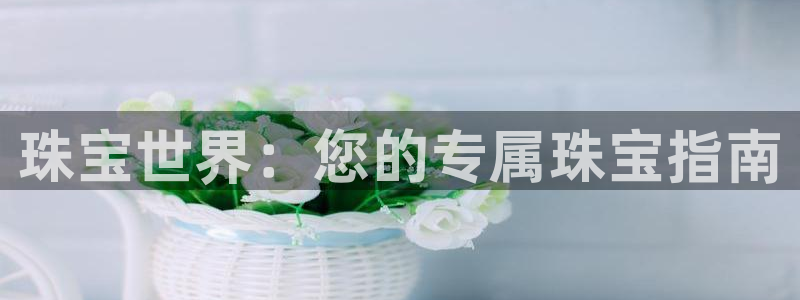 天宏娱乐招商部电话地址：珠宝世界：您的专属珠宝指南