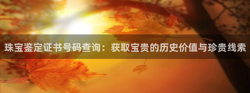 天宏娱乐 92229实c力：珠宝鉴定证书号码查询：获取宝贵的