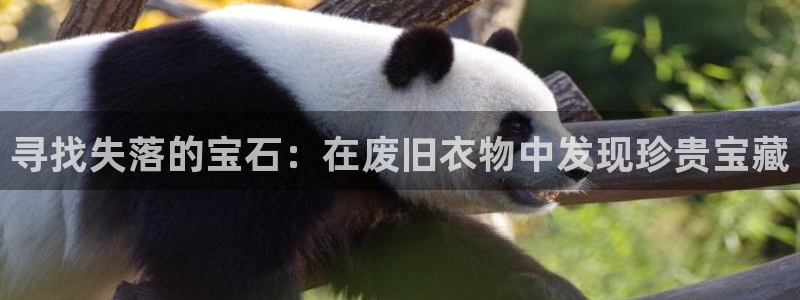 天宏娱乐小号怎么玩的：寻找失落的宝石：在废旧衣物中发现珍贵宝