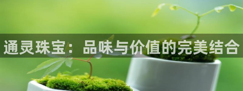 天宏娱乐q31.661
