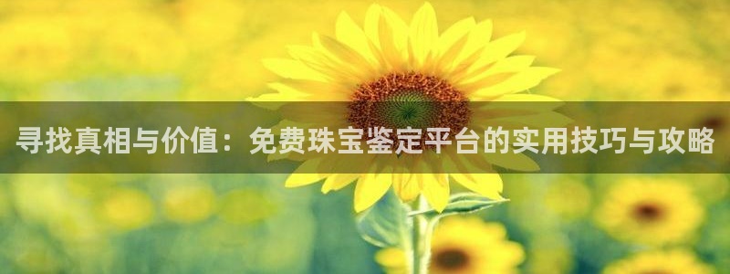 天宏娱乐老男孩直播：寻找真相与价值：免费珠宝鉴定平台的实用技