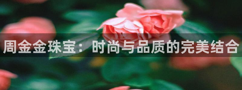 天宏娱乐开户