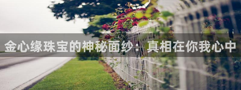 天宏娱乐直播怎么样：金心缘珠宝的神秘面纱：真相在你我心中