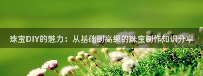 天宏娱乐会所电话号码：珠宝DIY的魅力：从基础到高级的珠宝制