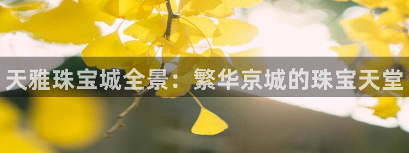 天宏娱乐正在直播