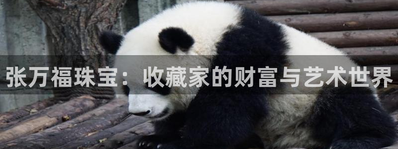 裕宏娱乐林天俊简介