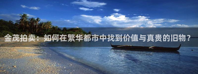 天宏娱乐总店电话：金茂拍卖：如何在繁华都市中找到价值与真贵的