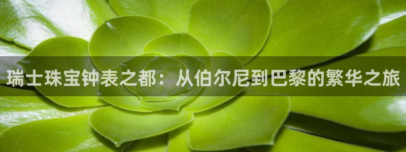 天宏娱乐董事长简介：瑞士珠宝钟表之都：从伯尔尼到巴黎的繁华之
