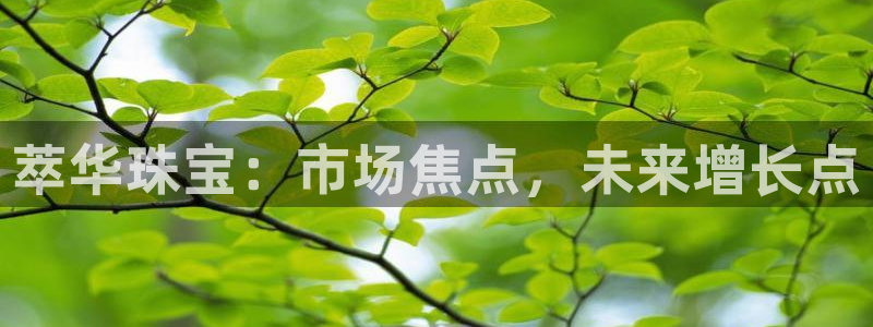 天宏娱乐注册官方：萃华珠宝：市场焦点，未来增长点