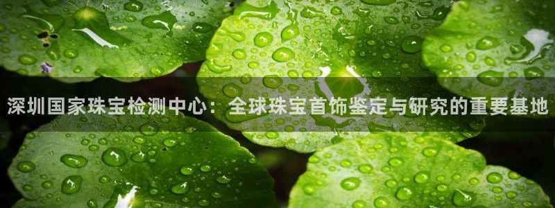 天宏娱乐石叔简介