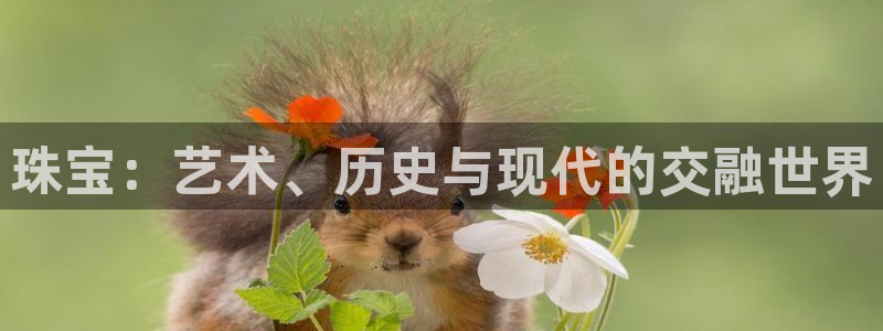 天宏娱乐怎么改号了