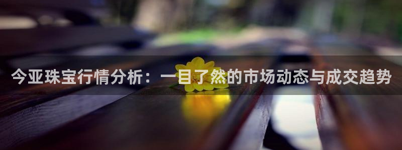 天宏娱乐大叔团成员