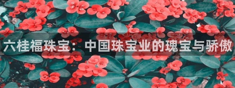 天宏3娱乐注册：六桂福珠宝：中国珠宝业的瑰宝与骄傲
