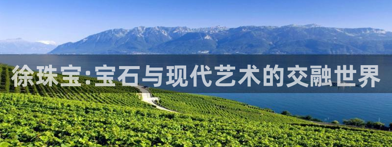 天宏娱乐c 判官