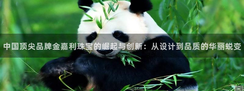 天宏娱乐河源店招聘：中国顶尖品牌金嘉利珠宝的崛起与创新：从设