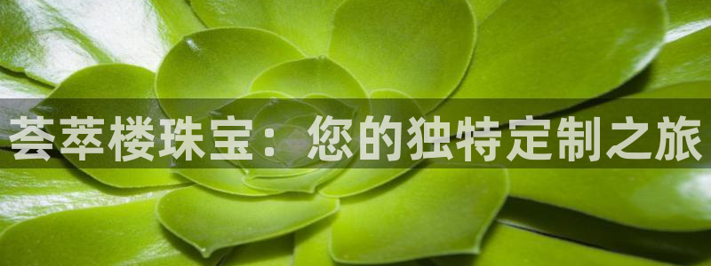 天宏娱乐i OO判官：荟萃楼珠宝：您的独特定制之旅