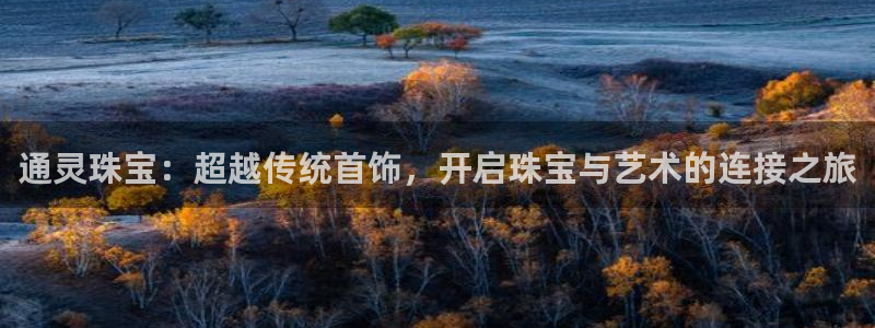 天宏娱乐巴扎黑：通灵珠宝：超越传统首饰，开启珠宝与艺术的连接