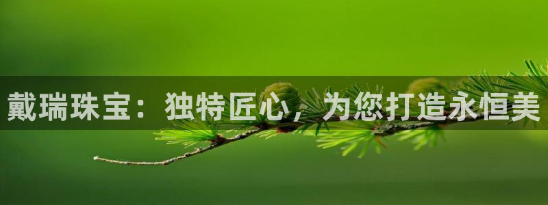 天宏娱乐男神：戴瑞珠宝：独特匠心，为您打造永恒美