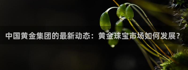 天宏娱乐管a事443593：中国黄金集团的最新动态：黄金珠宝