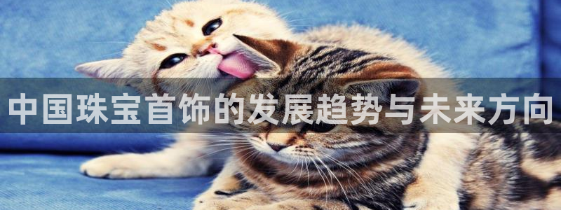 天宏3娱乐注册：中国珠宝首饰的发展趋势与未来方向