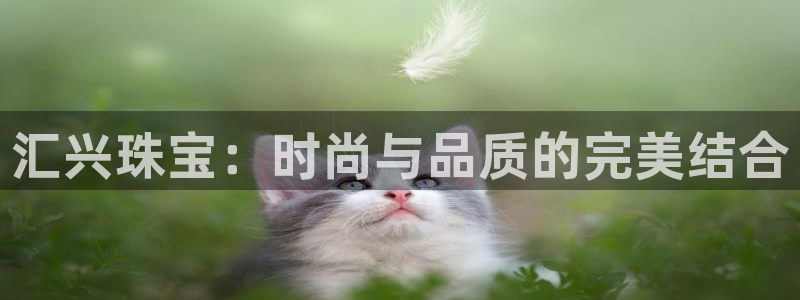 天宏娱乐是正规的吗