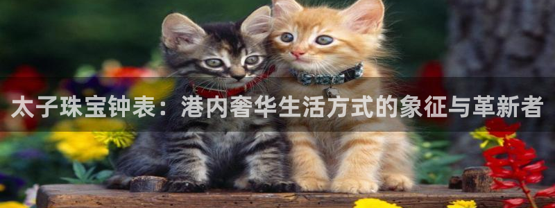 天宏娱乐军叔：太子珠宝钟表：港内奢华生活方式的象征与革新者