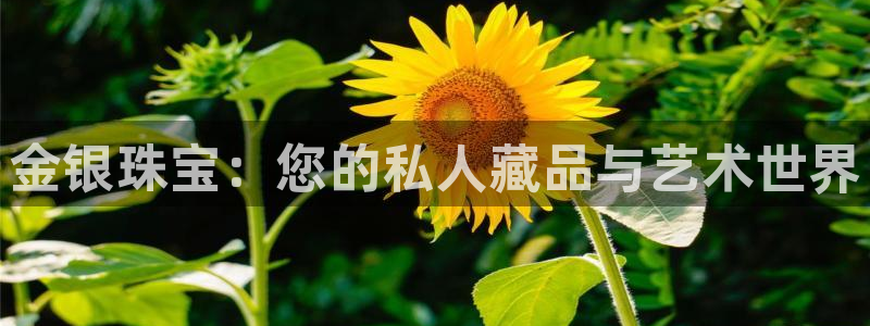 天宏娱乐直播怎么样