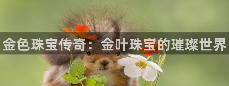 天宏娱乐a OO判官